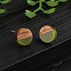Opaque Resin & Walnut Wood Stud Earrings X-EJEW-N017-008-B08-1