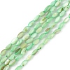 Natural Freshwater Shell Dyed Beads Strands SHEL-M018-13-03-1