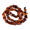 Natural Amber Beads Strands G-T138-235D-2
