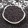 Baking Paint Glass Seed Beads SEED-S042-05A-24-2