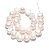 Natural Cultured Freshwater Pearl Beads Strands PEAR-N027-05B-3
