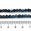 Dyed Natural Regalite/Imperial Jasper/Sea Sediment Jasper Beads Strands G-B124-C04-05-3