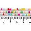 Handmade Lampwork Beads Strands LAMP-L078-008F-4