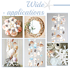 Natural Shell & Starfish Resin Cabochons Decorations SHEL-AR0001-13-6