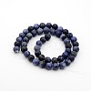 Sodalite Round Bead Strands G-P070-46-8mm-2