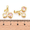 Brass Micro Pave Cubic Zirconia Charms LS-KK-N254-227G-3