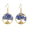 Natural Gemstone Chips Tree of Life Dangle Earrings EJEW-JE04934-3