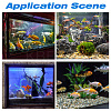 Aquarium Filter Sponge AJEW-WH20048-50C-3