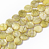 Drawbench Freshwater Shell Beads Strands SHEL-T014-012G-1