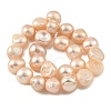 Natural Cultured Freshwater Pearl Beads Strands PEAR-A006-08B-3