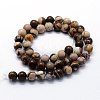 Natural Zebra Jasper Beads Strands X-G-I199-10-6mm-2