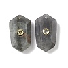 Natural Labradorite Faceted Pendants G-B151-02G-1