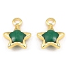 Brass Enamel Charms KK-K337-06G-3