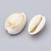 Natural Cowrie Shell Beads X-SSHEL-T004-07-2
