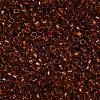 TOHO 6/0 Round Beads SEED-TR06-2154-3