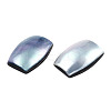 Natural Turbo Cornulus/Top Shells Cabochons SSHEL-N003-153A-4