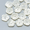 Natural White Shell Beads SSHEL-S260-017-1