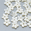 Natural White Shell Beads SSHEL-S260-005-1