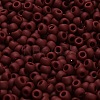 TOHO 6/0 Round Beads SEED-TR06-0046F-4