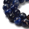 Natural South Africa Sodalite Beads Strands G-S259-35-12mm-01-6