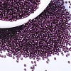 MIYUKI Delica Beads SEED-JP0008-DB1342-1