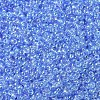 MIYUKI Round Rocailles Beads SEED-G007-RR0299-3
