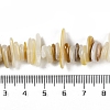 Natural Trochus Shell Beads Strands BSHE-H109-08-4