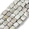 Natural Variscite Beads Strands G-D098-D09-2