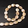 Natural Trochid Shell/Trochus Shell Beads Strands SSHEL-K008-03-2