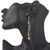 Natural Gemstone Dangle Earrings EJEW-JE06668-02-3