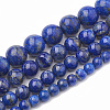 Natural Lapis Lazuli Beads Strands G-S333-10mm-013-3