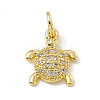 Brass Micro Pave Cubic Zirconia Charms ZIRC-F132-27G-1