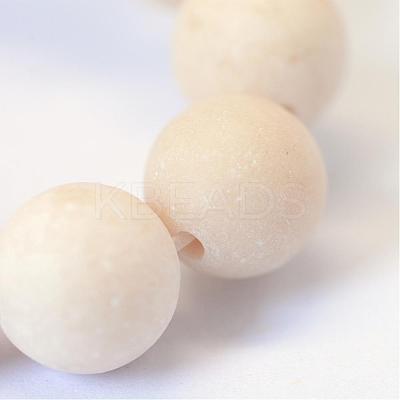 Frosted Natural Fossil Round Bead Strands G-E334-8mm-22-1