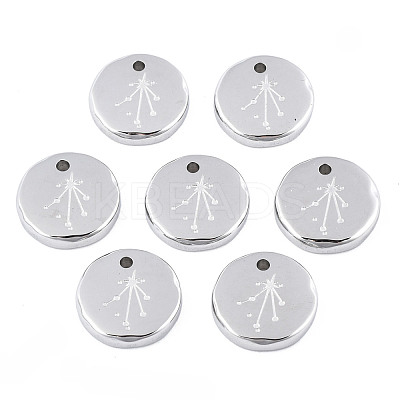 Non-Tarnish 316 Surgical Stainless Steel Charms STAS-S116-418K-P-1