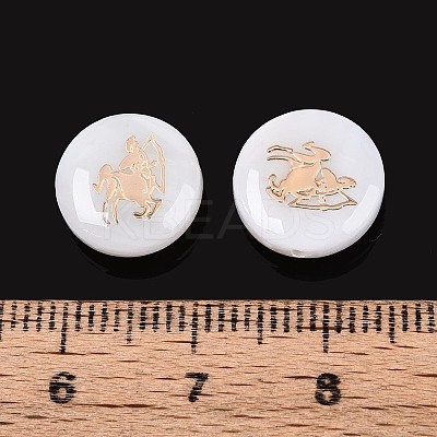 Natural Freshwater Shell Beads SHEL-N037-02I-G-1