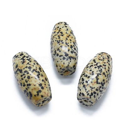 Natural Dalmatian Jasper Two Half Drilled Holes Beads G-G795-11-13-1