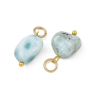 Natural Larimar Pendants PALLOY-JF05952-1