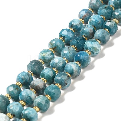 Natural Apatite Beads Strands G-P508-A15-01-1