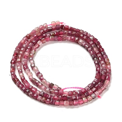 Gradient Color Natural Pink Tourmaline Beads Strands X-G-K373-A03-01-1