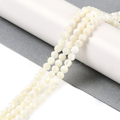 Natural Shell Beads Strands SSHEL-E571-38B-4mm-1