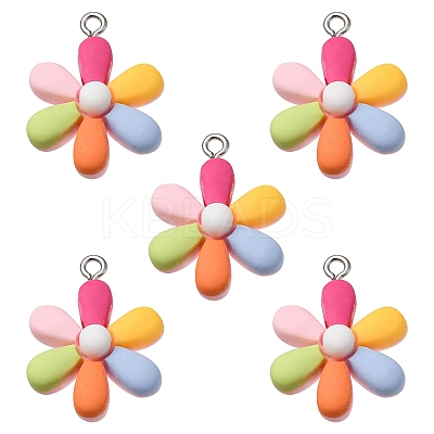 Opaque Resin Pendants HUDU-YW0001-01-1