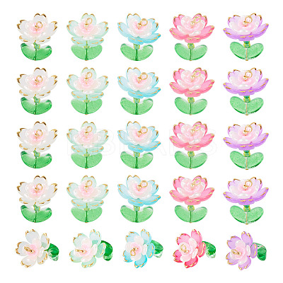 30Pcs 5 Colors Transparent Acrylic Pendants PALLOY-TA00303-1