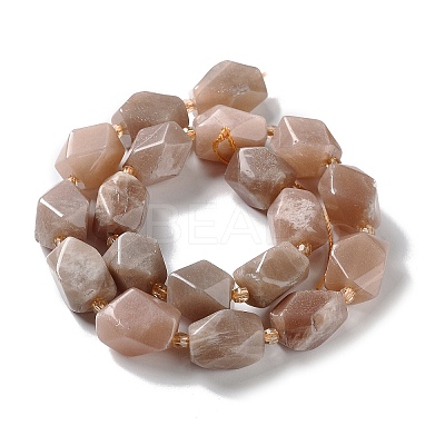 Natural Peach Moonstone Beads Strands G-C182-13-02-1