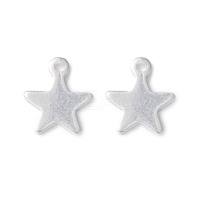 304 Stainless Steel Charms STAS-L234-069S-1
