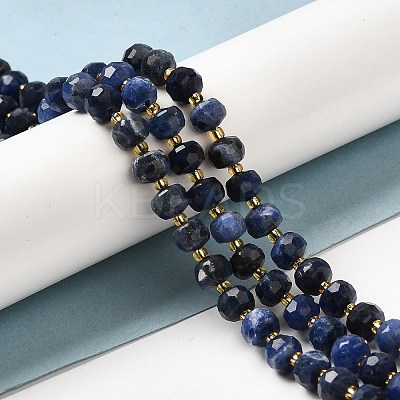 Natural Sodalite Beads Strands G-P508-A10-01-1