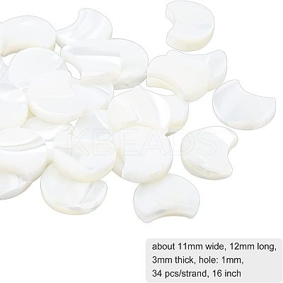 1 Strand Natural White Shell Beads Strands SSHEL-BC0001-18-1