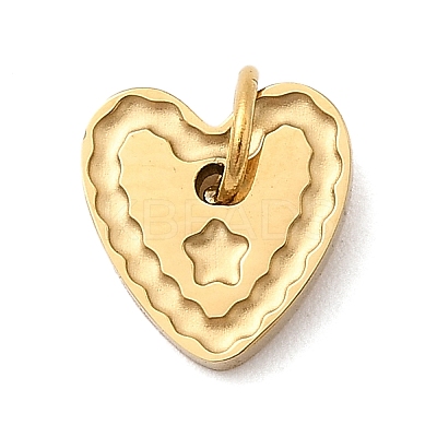 304 Stainless Steel Charms STAS-B093-13G-1
