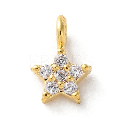 Brass Micro Pave Cubic Zirconia Charms LS-KK-S513-09B-G-1
