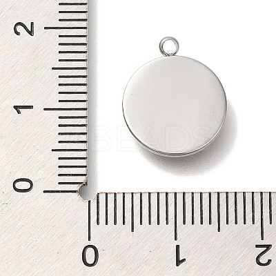 Anti-Tarnish 304 Stainless Steel Charms STAS-P371-105P-1