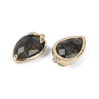 Natural Labradorite Faceted Pendants G-M431-06G-12-1